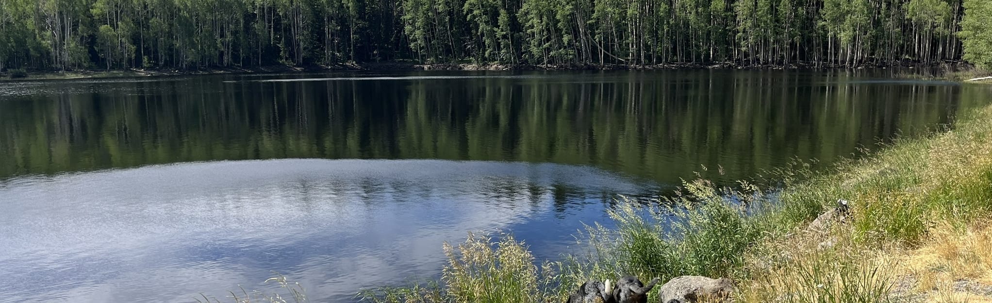 Water Dog Reservoir and Long Slough Reservoir via Crum Reservoir Trail