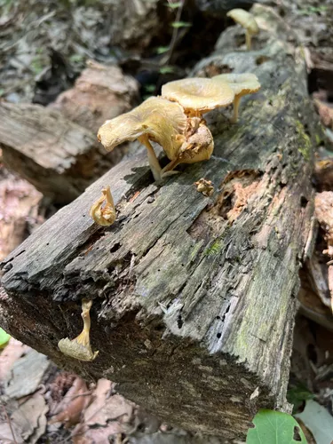 Blackwater (company) visual data 5