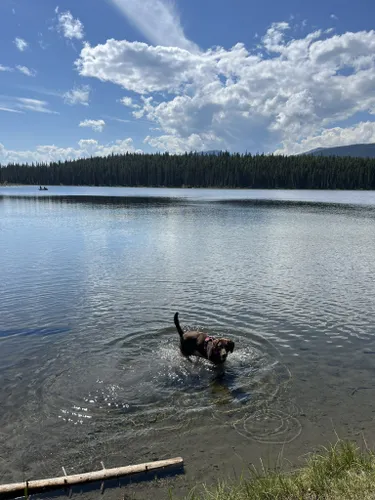 Best Hikes and Trails in Goldeye Lake Provincial Recreation Area ...