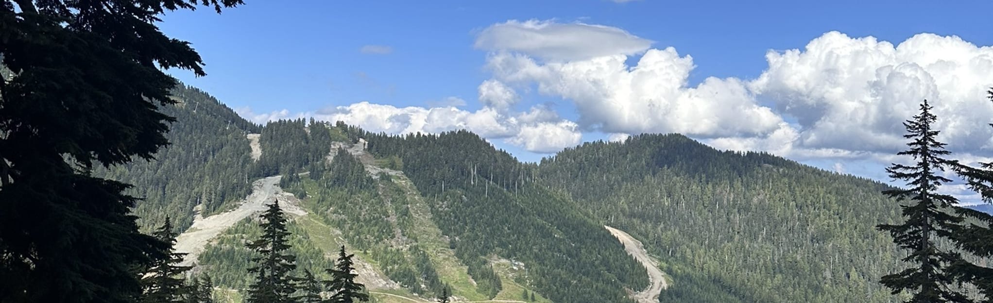 Cabin Lake Trail 224 Reviews, Map British Columbia, Canada AllTrails