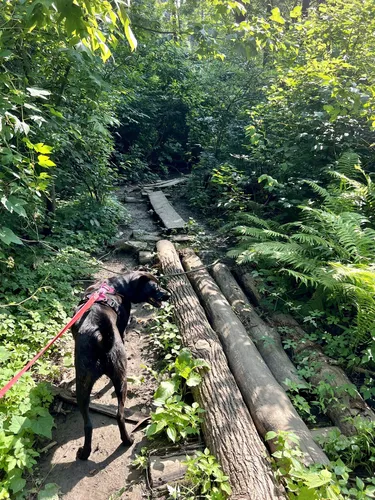 Best Hikes and Trails in Kenealy Nature Park | AllTrails