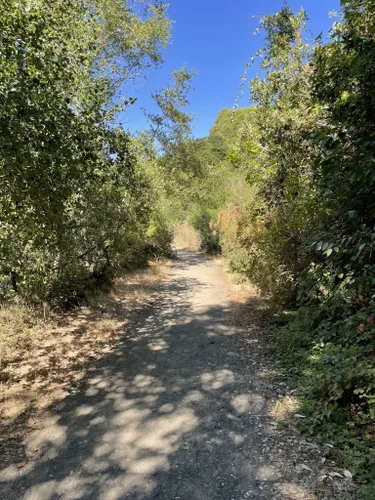 Best Hikes And Trails In Don Castro Regional Recreation Area Alltrails 4743