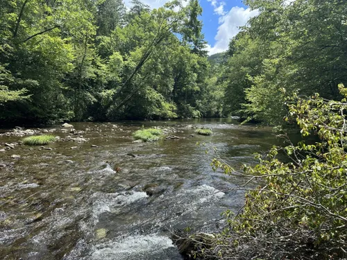 10 Best Trail Running Trails in Gatlinburg | AllTrails