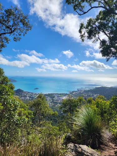 Honeyeater Lookout Trail Map