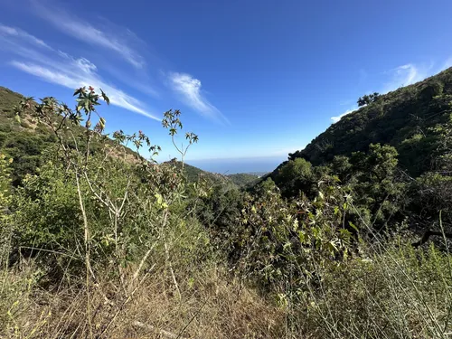 Best hikes in cheap los padres national forest