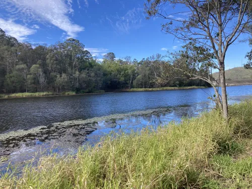 10 Best Trails, Walks, and Paths in Enoggera Reservoir | AllTrails