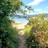 Hagg Lake Trail Section H, Oregon - 251 Reviews, Map | AllTrails