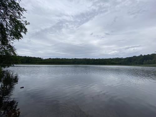 Auer - Altenteich