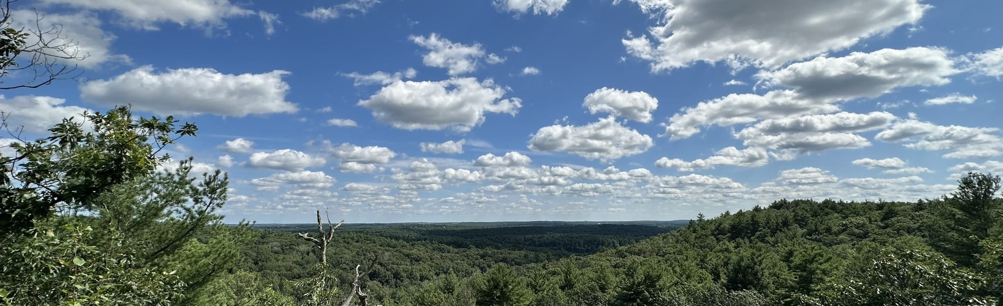 Eliot Tower via Wolcott, Breakneck, Chestnut Run, and Border Trail