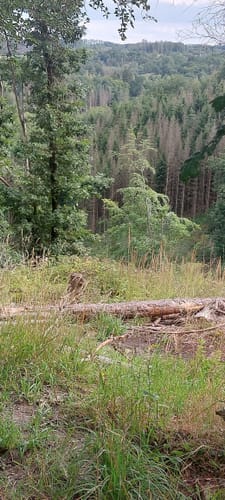 Rund um Niederseßmar