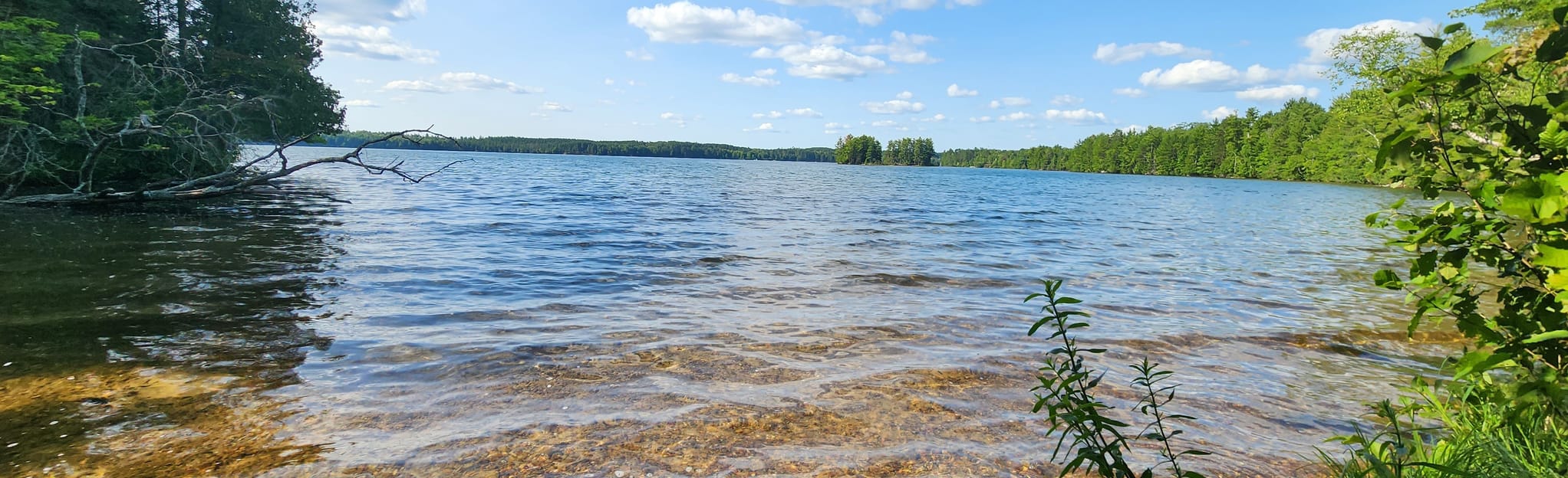 Star Lake Trampers Trail 73 Reviews, Map Wisconsin AllTrails