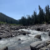 Elk Meadows South Trail, Oregon - 473 Reviews, Map | AllTrails