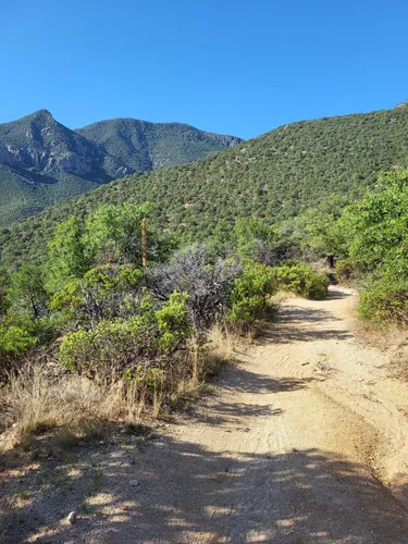 2023 Best 10 Trails and Hikes in Sierra Vista | AllTrails