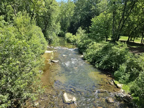 Best Hikes and Trails in Quittie Creek Nature Park | AllTrails