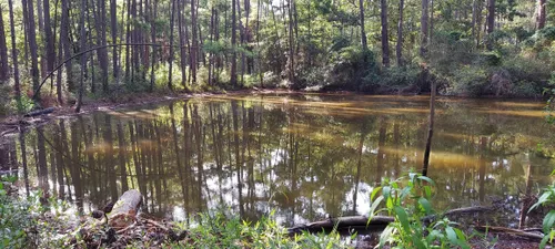 2023 Best Camping Trails in Sam - EyJidWNrZXQiOiJhc3NldHMuYWxsdHJhaWxzLmNvbSIsImtleSI6InVwbG9hZHMvcGhvdG8vaW1hZ2UvNjMzNjA2NDMvMTk5MzU0NmZiMmUxY2QyODk3OTJhNmY2MGVmNDBkMmYuanBnIiwiZWRpdHMiOnsidG9Gb3JtYXQiOiJ3ZWJwIiwicmVzaXplIjp7IndpZHRoIjo1MDAsImhlaWdodCI6NTAwLCJmaXQiOiJpbnNpZGUifSwicm90YXRlIjpudWxsLCJqcGVnIjp7InRyZWxsaXNRdWFudGlzYXRpb24iOnRydWUsIm92ZXJzaG9vdERlcmluZ2luZyI6dHJ1ZSwib3B0aW1pc2VTY2FucyI6dHJ1ZSwicXVhbnRpc2F0aW9uVGFibGUiOjN9fX0=