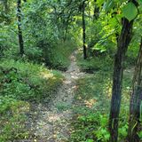 Farmdale Recreation Area Trail, Illinois - 828 Reviews, Map | AllTrails