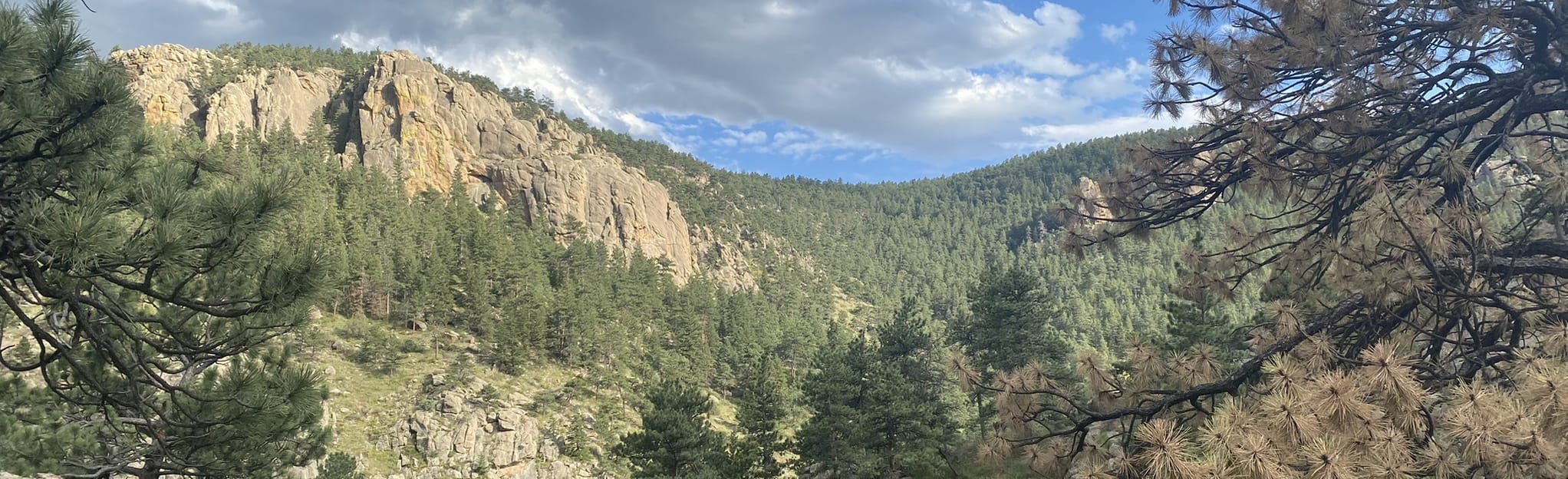 Deadman Gulch Overlook Trail 134 foto's Colorado AllTrails