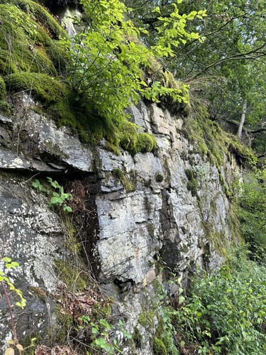 Ruine Neuerburg und Fockenbachtal (Kurtscheid K2)