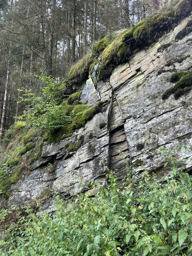 Ruine Neuerburg und Fockenbachtal (Kurtscheid K2)
