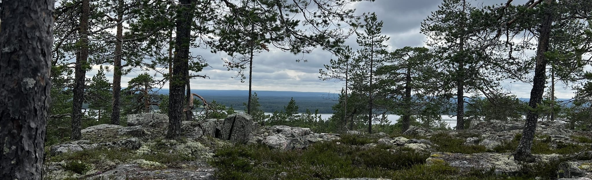 Western loop (Bälingeberget): 15 Reviews, Map - Norrbotten, Sweden ...