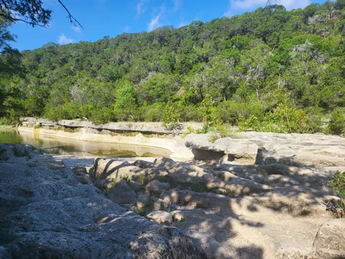 2023 Best Forest Trails in Barton - EyJidWNrZXQiOiJhc3NldHMuYWxsdHJhaWxzLmNvbSIsImtleSI6InVwbG9hZHMvcGhvdG8vaW1hZ2UvNjMzNzIxNDYvMmUzN2IxYTE4OGJiYzM0ODBjY2FiOWVmNjIzZTNiMjguanBnIiwiZWRpdHMiOnsidG9Gb3JtYXQiOiJ3ZWJwIiwicmVzaXplIjp7IndpZHRoIjo1MDAsImhlaWdodCI6NTAwLCJmaXQiOiJpbnNpZGUifSwicm90YXRlIjpudWxsLCJqcGVnIjp7InRyZWxsaXNRdWFudGlzYXRpb24iOnRydWUsIm92ZXJzaG9vdERlcmluZ2luZyI6dHJ1ZSwib3B0aW1pc2VTY2FucyI6dHJ1ZSwicXVhbnRpc2F0aW9uVGFibGUiOjN9fX0=