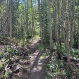 Three Mile Creek Trail, Colorado - 879 Reviews, Map | AllTrails