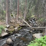 Buffalo Peaks Loop, Colorado - 383 Reviews, Map | AllTrails