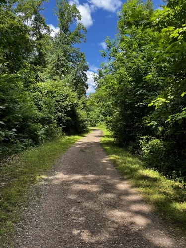 My Favorite Places to Take Walks in West Hartford, Connecticut — A Petite  Planet