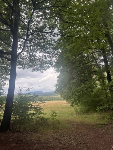 Naturerlebnisweg Bamster Wald
