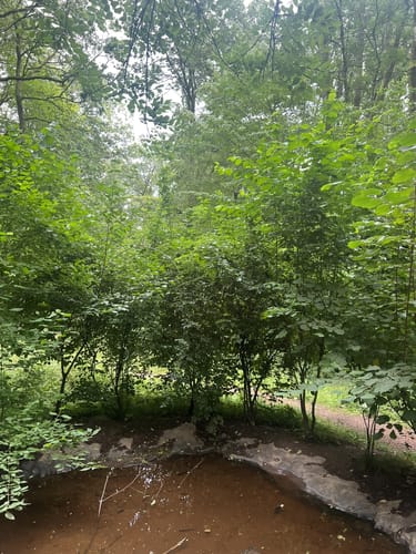 Naturerlebnisweg Bamster Wald