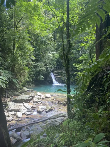 De beste wandelroutes om te wandelen in Sangre Grande voor 2023 AllTrails