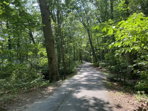 Best Hikes And Trails In Locust Lake State Park Alltrails