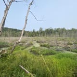Pyramid Point Loop, Michigan - 891 Reviews, Map | AllTrails