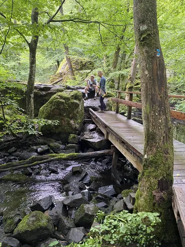 Bedste ruter til fiskeri i Söderåsen National Park i 2023 | AllTrails