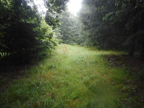 Romantische Straße Etappe 14: Mönchsdeggingen - Harburg