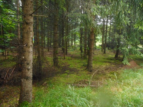 Romantische Straße Etappe 14: Mönchsdeggingen - Harburg