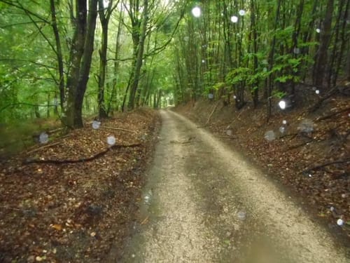 Romantische Straße Etappe 14: Mönchsdeggingen - Harburg