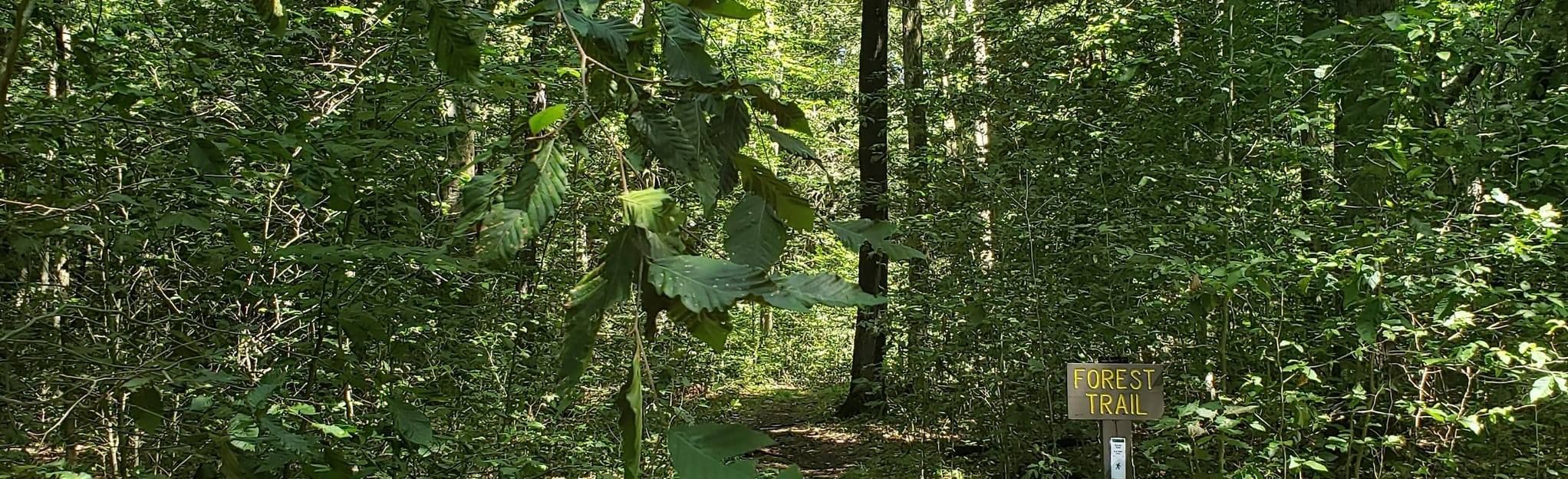 Prince Gallitzin Forest Trail Loop, Pennsylvania 6 Reviews, Map