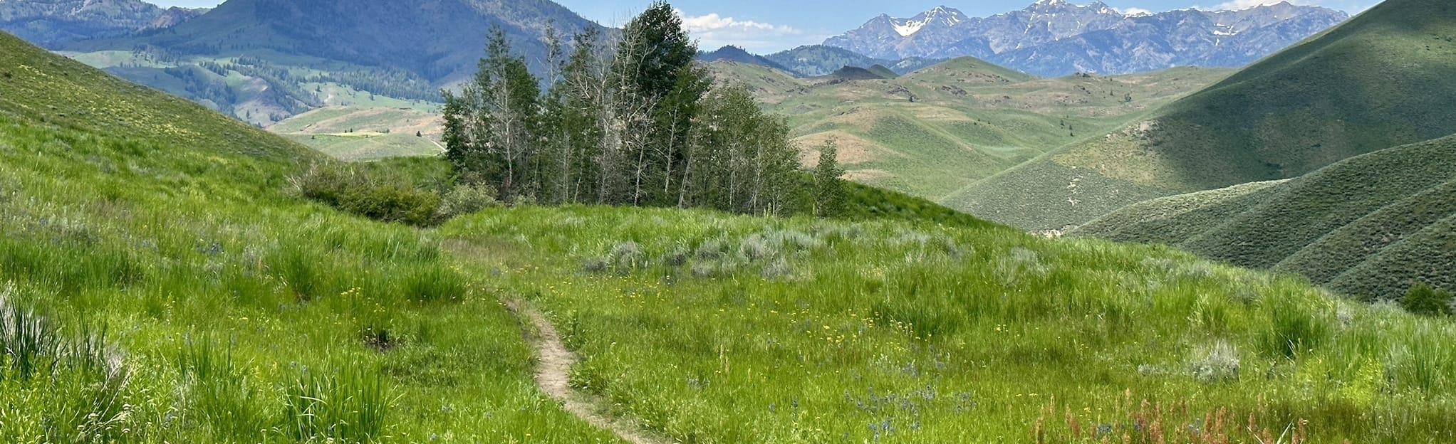 Prospect Hill Loop, Idaho 188 Reviews, Map AllTrails