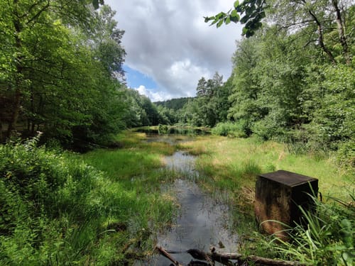 Bobenheim und Ungeheuersee