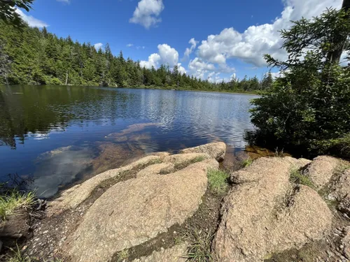 10 Best Waterfall Trails in Maine | AllTrails