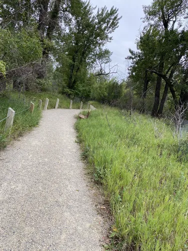 Curated visual reference: Visual Reference: Best Hikes And Trails In Inglewood Bird Sanctuary And Nature