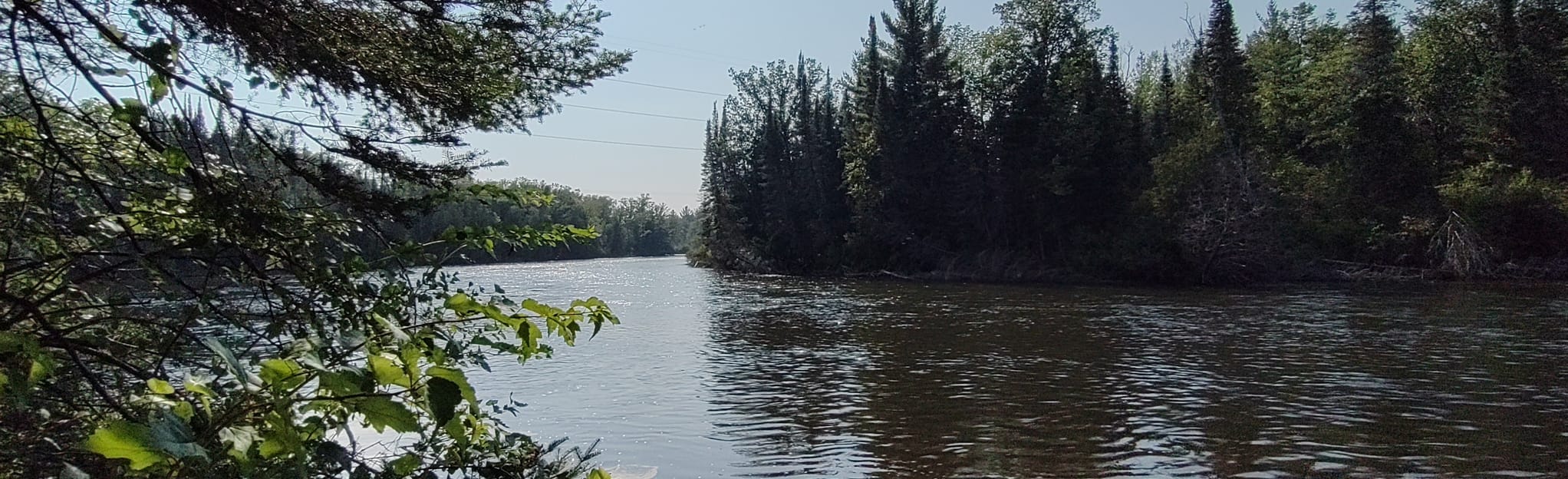 Au Sable River 15 Reviews, Map Michigan AllTrails