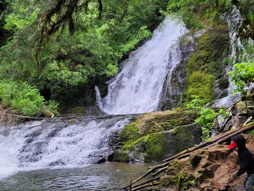 mappa del fiume alsea oregon