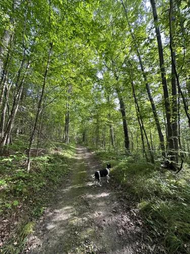 Families and fishing go together at Seymour Conservation Area