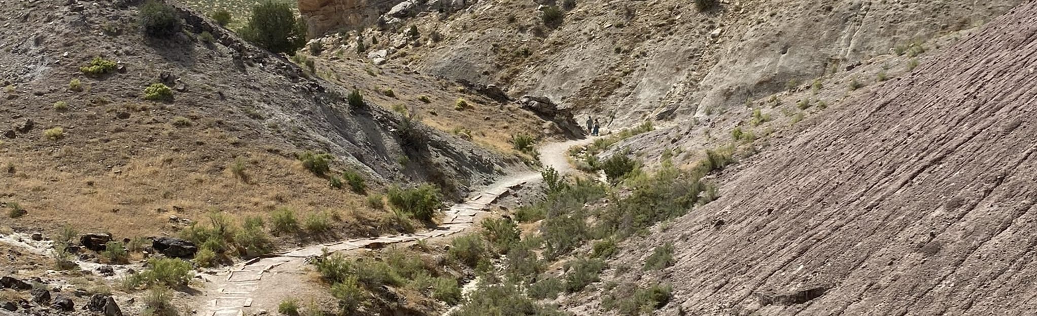 Fossil Discovery Trail 307 Photos Utah Randonnée AllTrails
