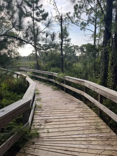 2023 Best Forest Trails in Ocracoke | AllTrails