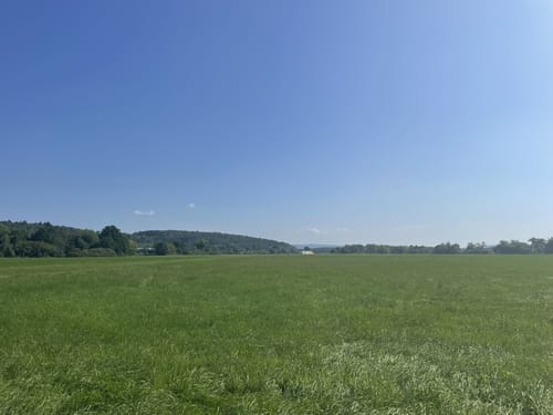 Wanderweg Ronneburger Wald Nr.3