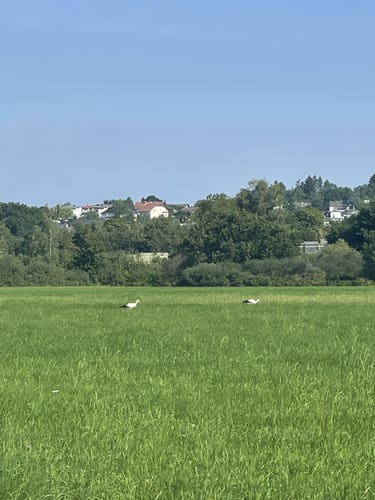 Wanderweg Ronneburger Wald Nr.3