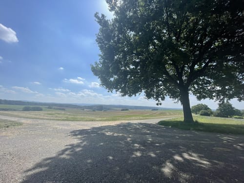 Wanderweg Ronneburger Wald Nr.3